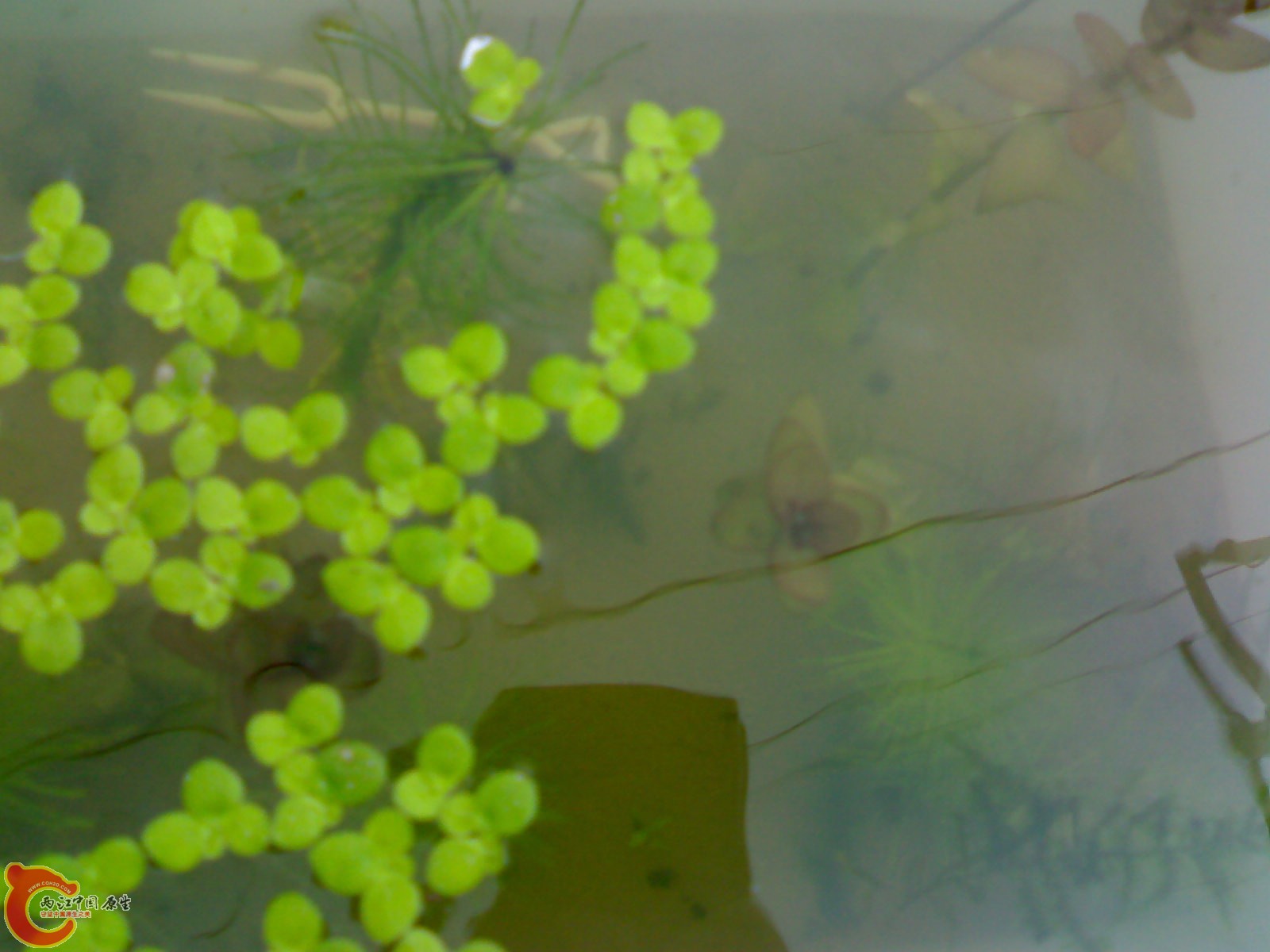 20100914707.jpg