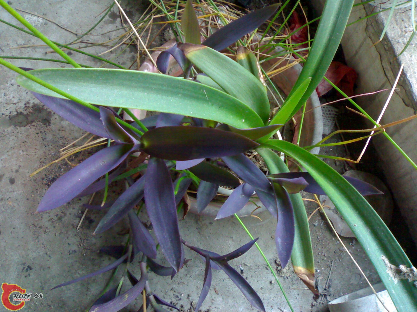 20100914710.jpg