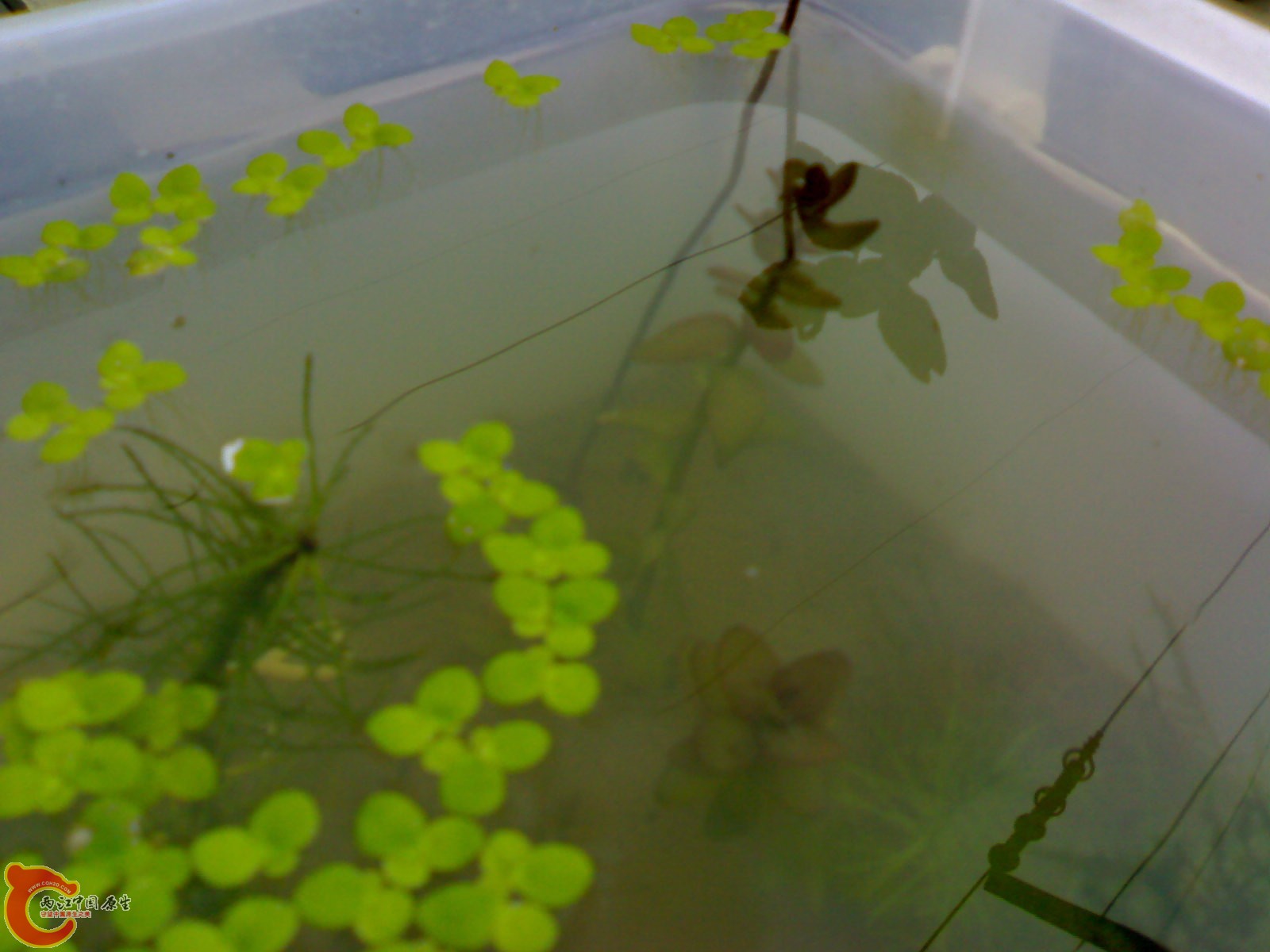 20100914708.jpg