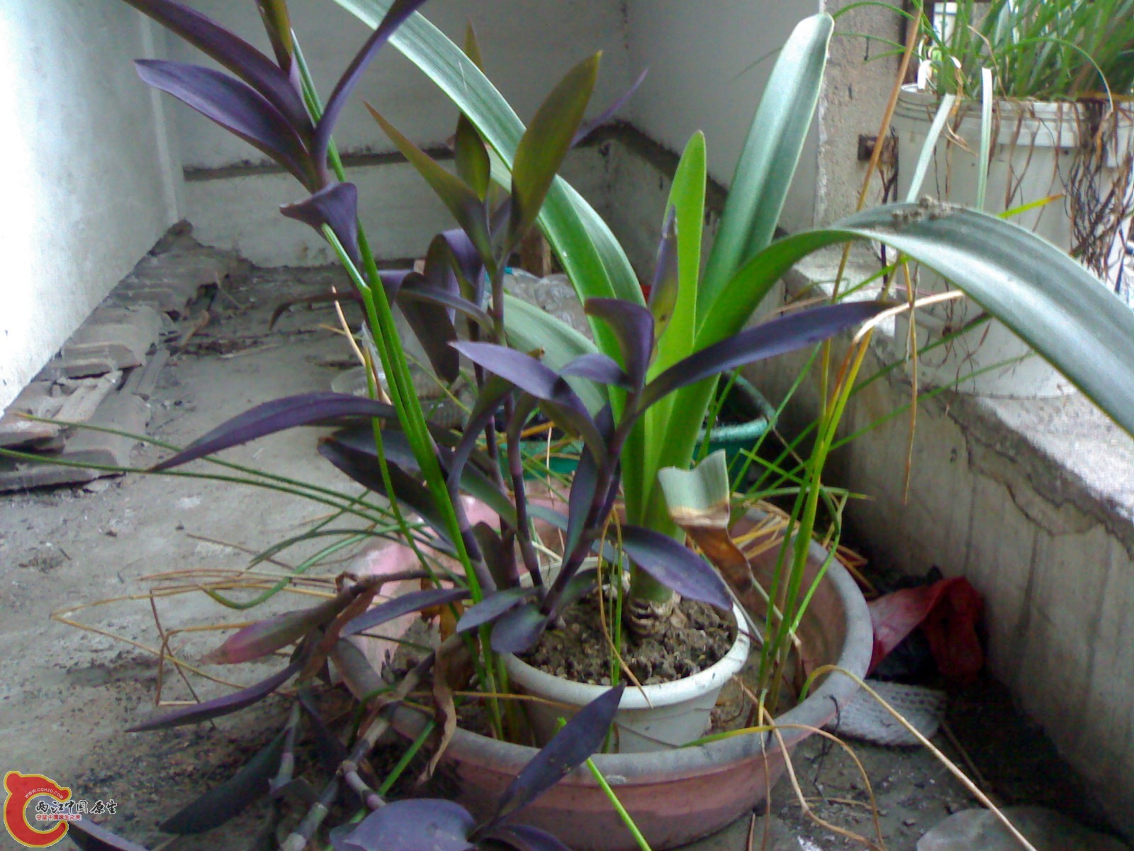 20100914712.jpg
