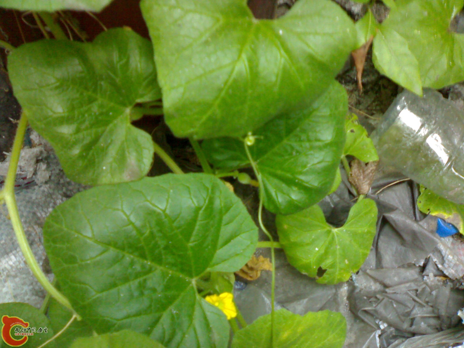 20100914715.jpg