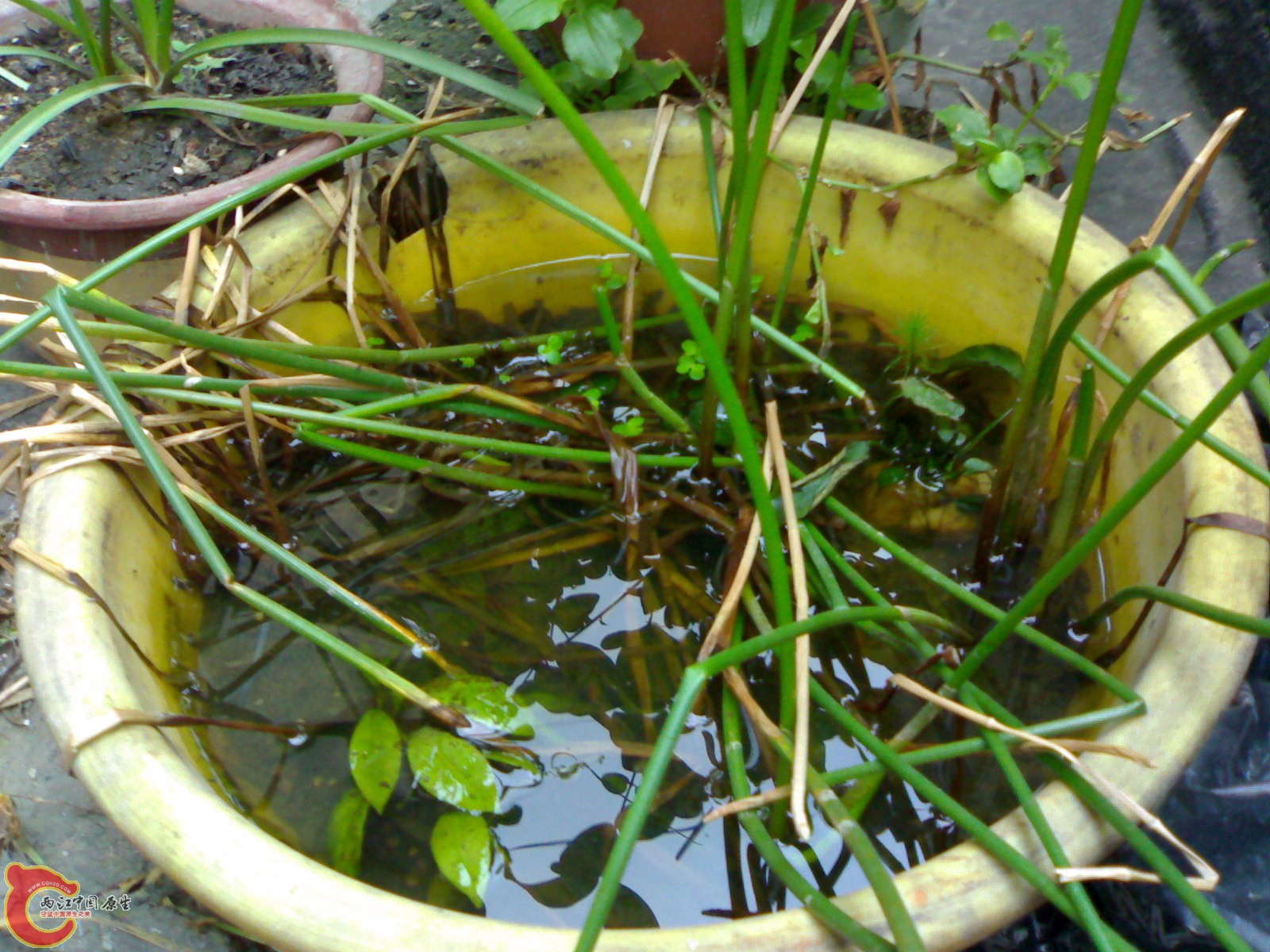 20100914719.jpg