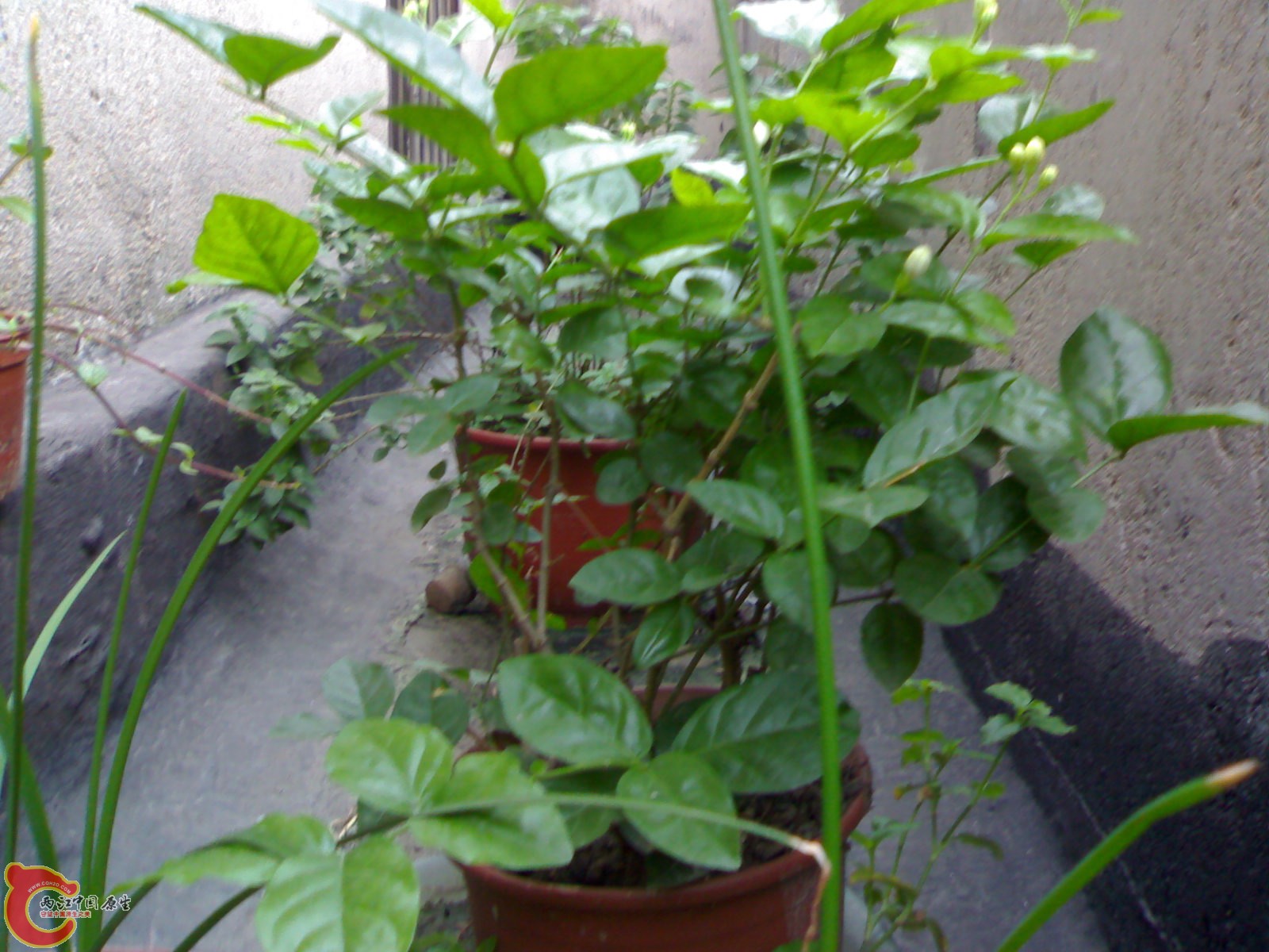 20100914720.jpg