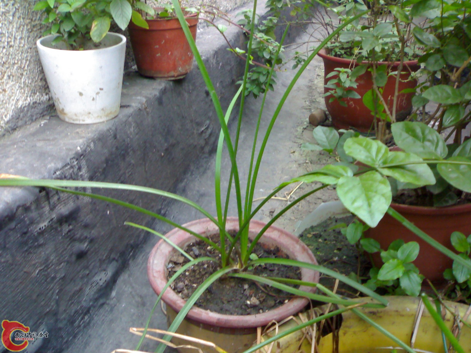 20100914721.jpg