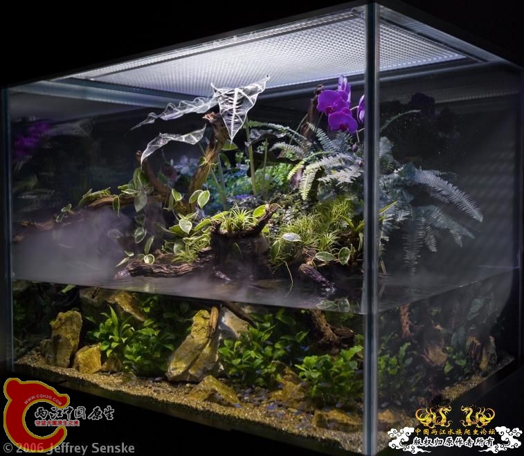 ochird aquaterrarium.jpg