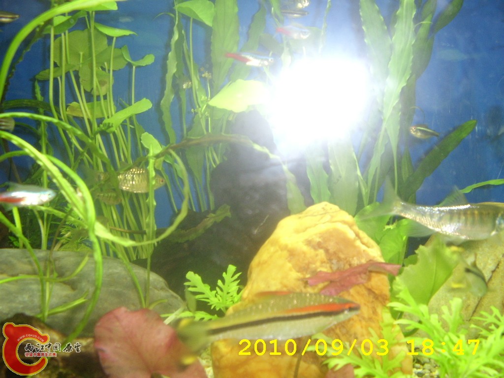STA42057.JPG