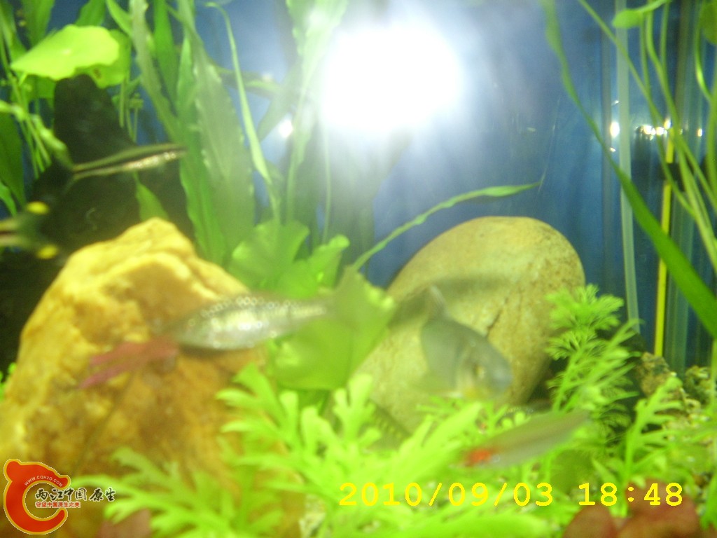 STA42058.JPG