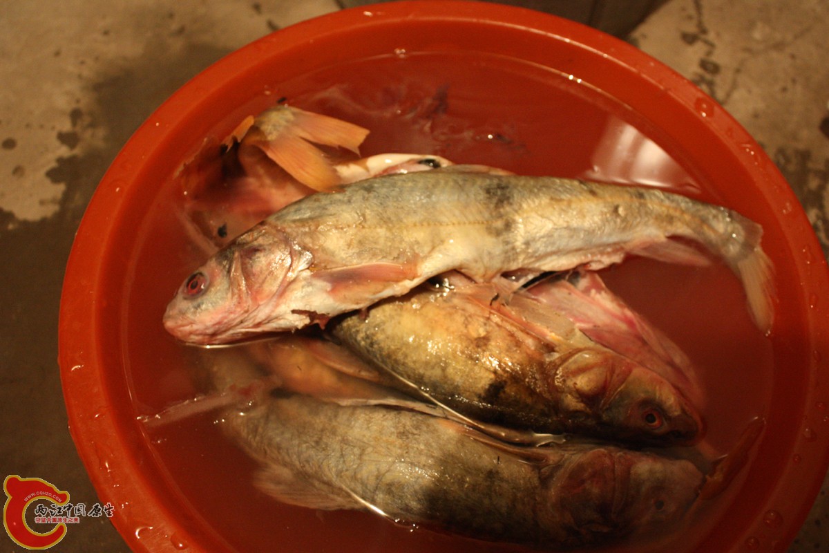 照片 257.jpg
