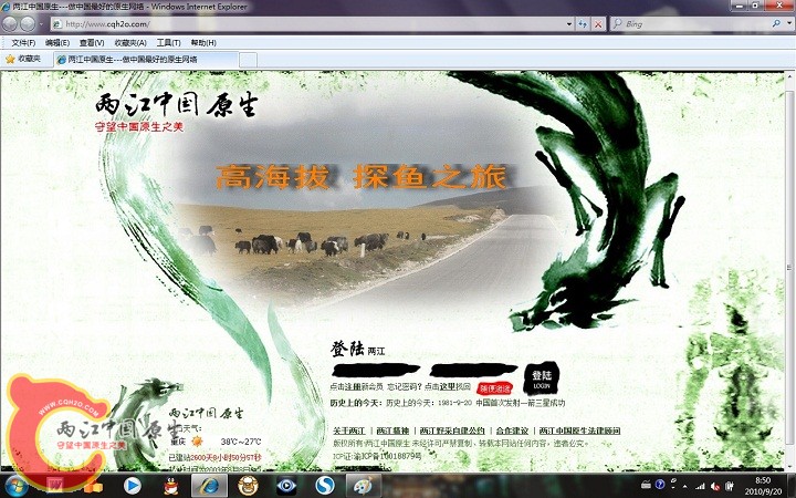 无标题.jpg
