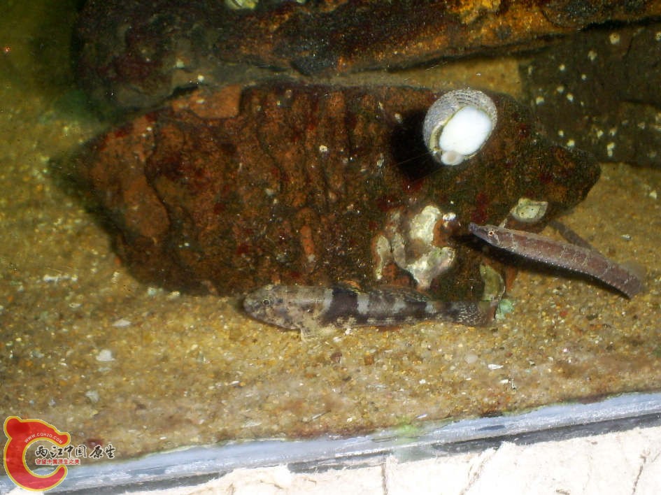 S5030095.JPG