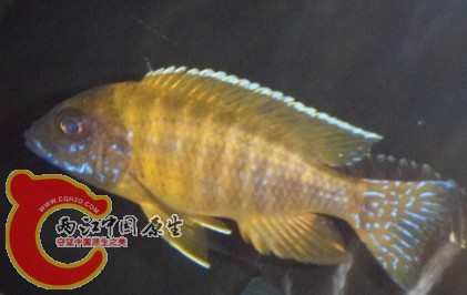 {2Y2J(XASvI%J8DGU)BJF.jpg