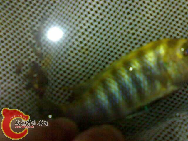 20030703003.jpg