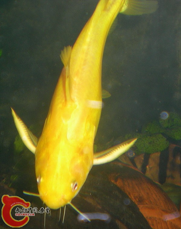 2010-09-20_22-50-41.JPG
