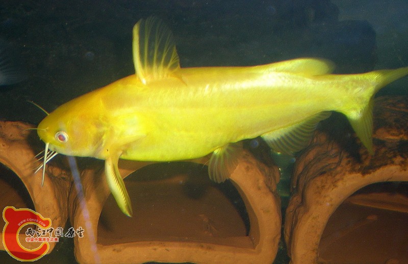 2010-09-20_22-45-33.JPG