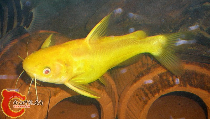 2010-09-20_22-54-32.JPG