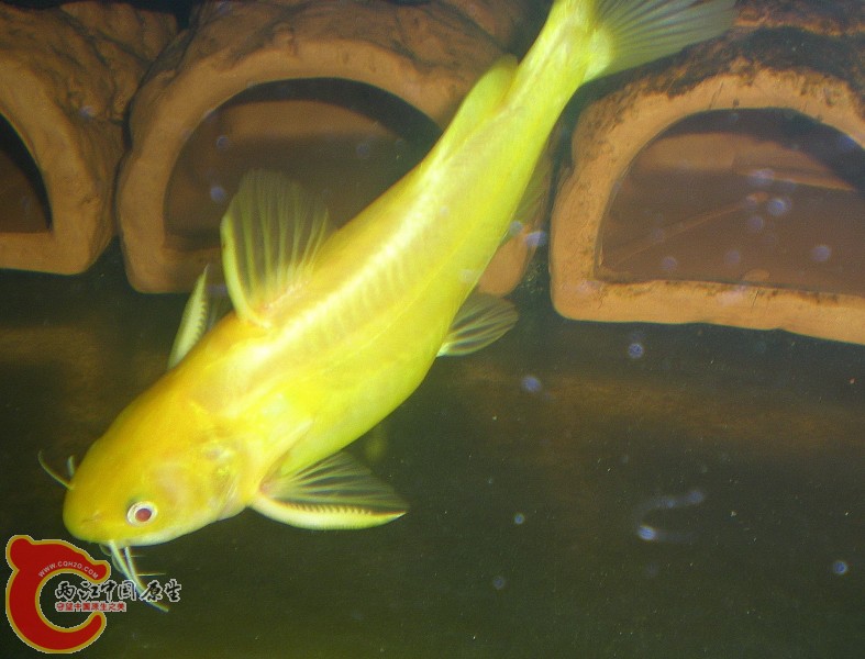 2010-09-20_22-43-35.JPG
