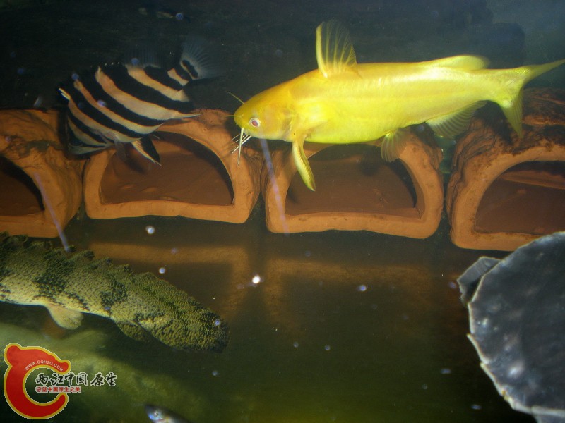 2010-09-20_22-45-33.JPG