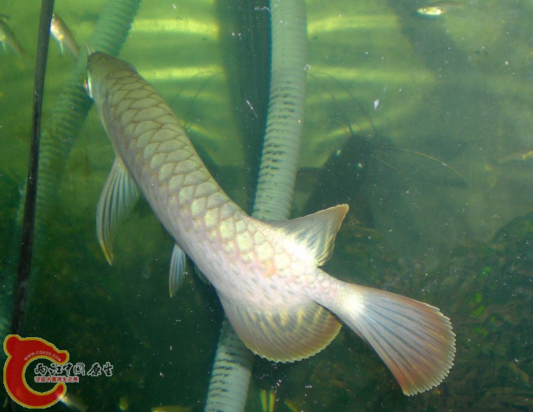 2010-09-20_22-49-07.JPG