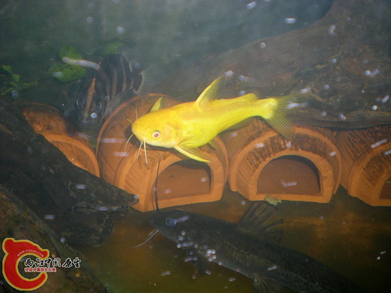 2010-09-20_22-54-32.JPG