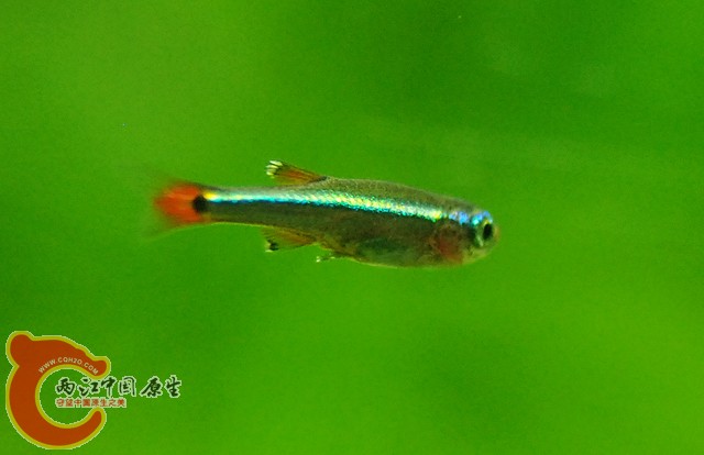 DSC_0170.JPG