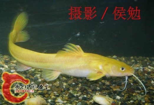 2005619201926411[1].jpg