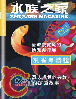 封面2副本副本副本.jpg
