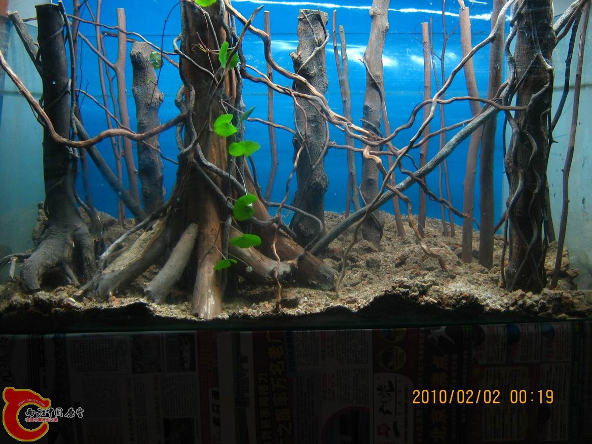 调整大小 IMG_3534.JPG