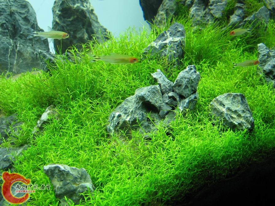 调整大小 IMG_5514.JPG