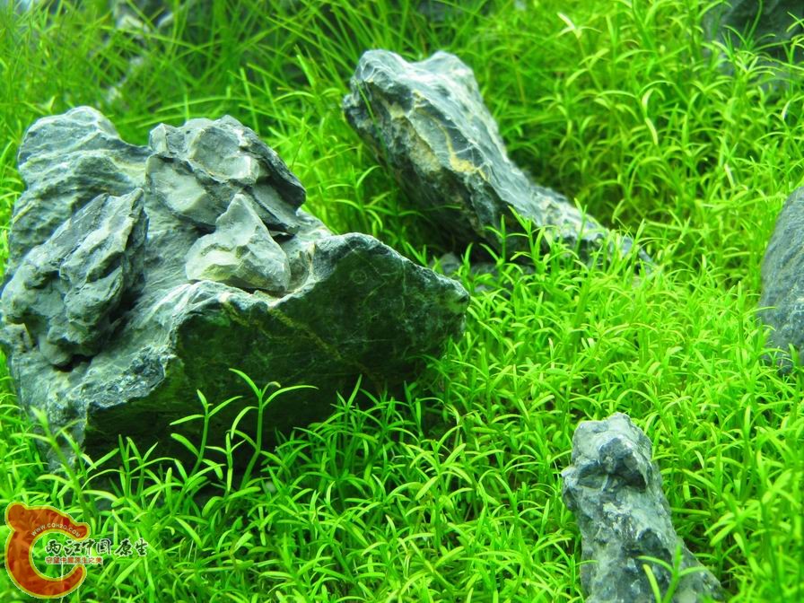 调整大小 IMG_5535.JPG