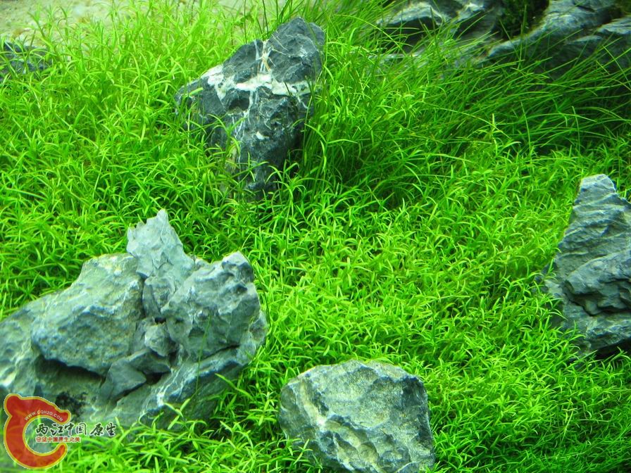 调整大小 IMG_5545.JPG