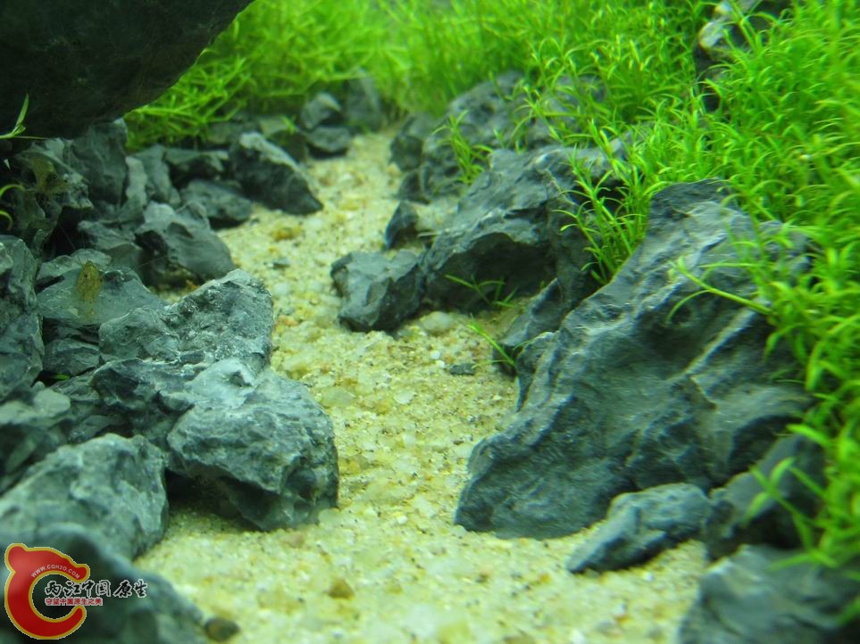 调整大小 调整大小 IMG_5551.JPG