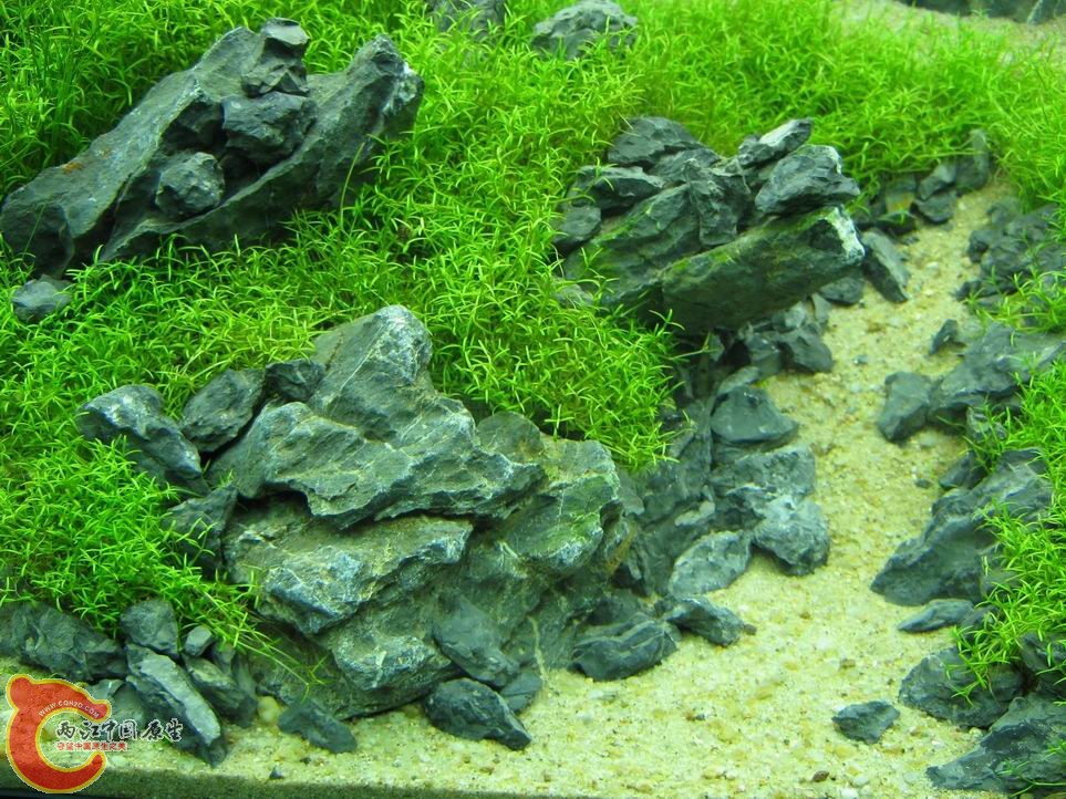 调整大小 调整大小 IMG_5556.JPG