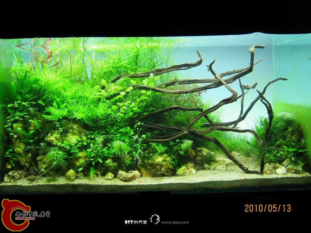 调整大小 1005130046becea3c743ec823a.jpg