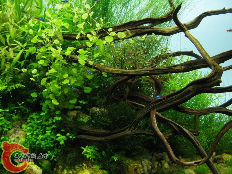 调整大小 IMG_6288.JPG