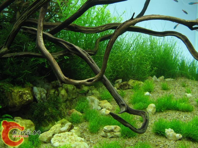 调整大小 IMG_6283.JPG