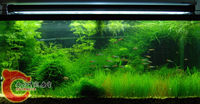 sDSC_0067.jpg