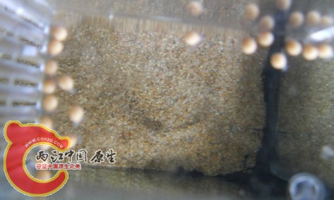 W7}CGS083}PA{}ZGC]3NV.jpg