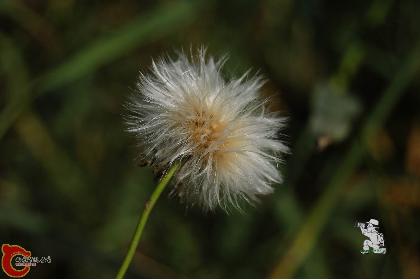 调整大小 DSC_8204.JPG