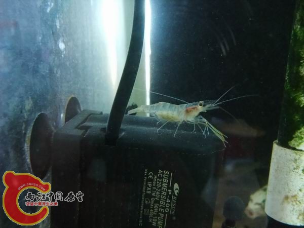 DSCF6556.JPG