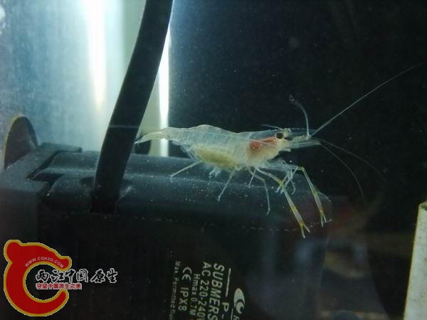 DSCF6559.JPG