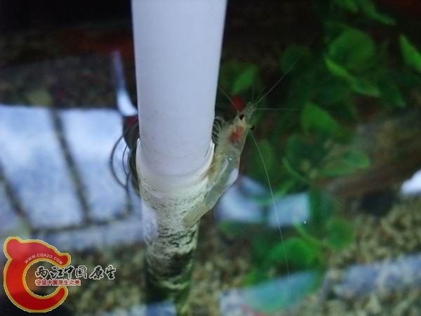 DSCF6552.JPG