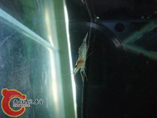 DSCF6553.JPG