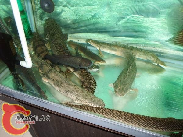 DSCF6560.JPG