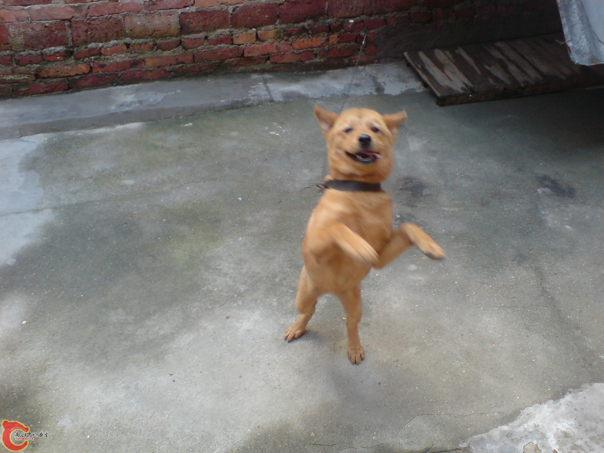 DSC00085.JPG