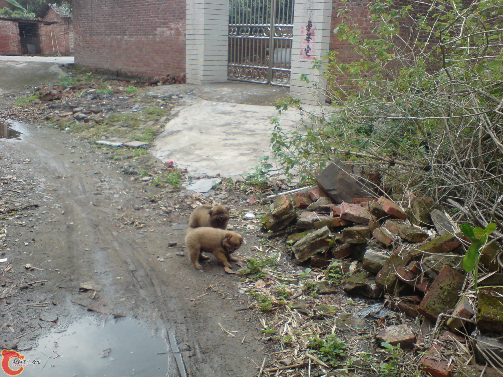 DSC00458.JPG