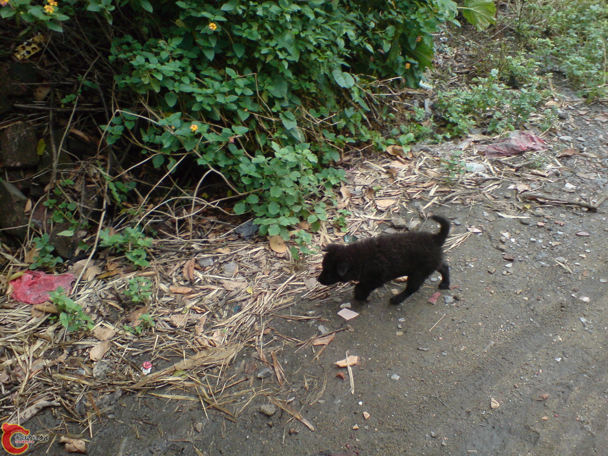 DSC00456.JPG