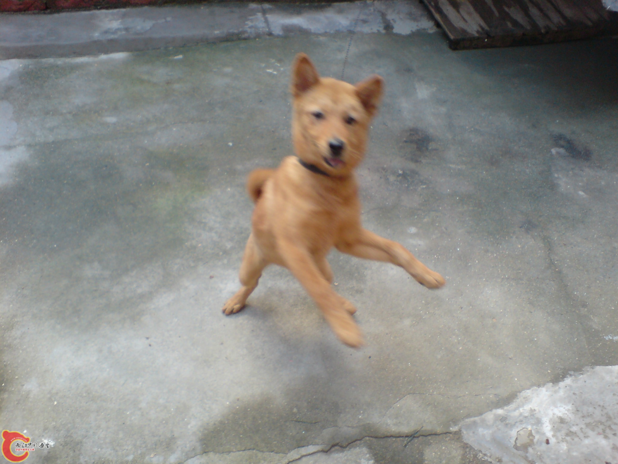 DSC00084.JPG