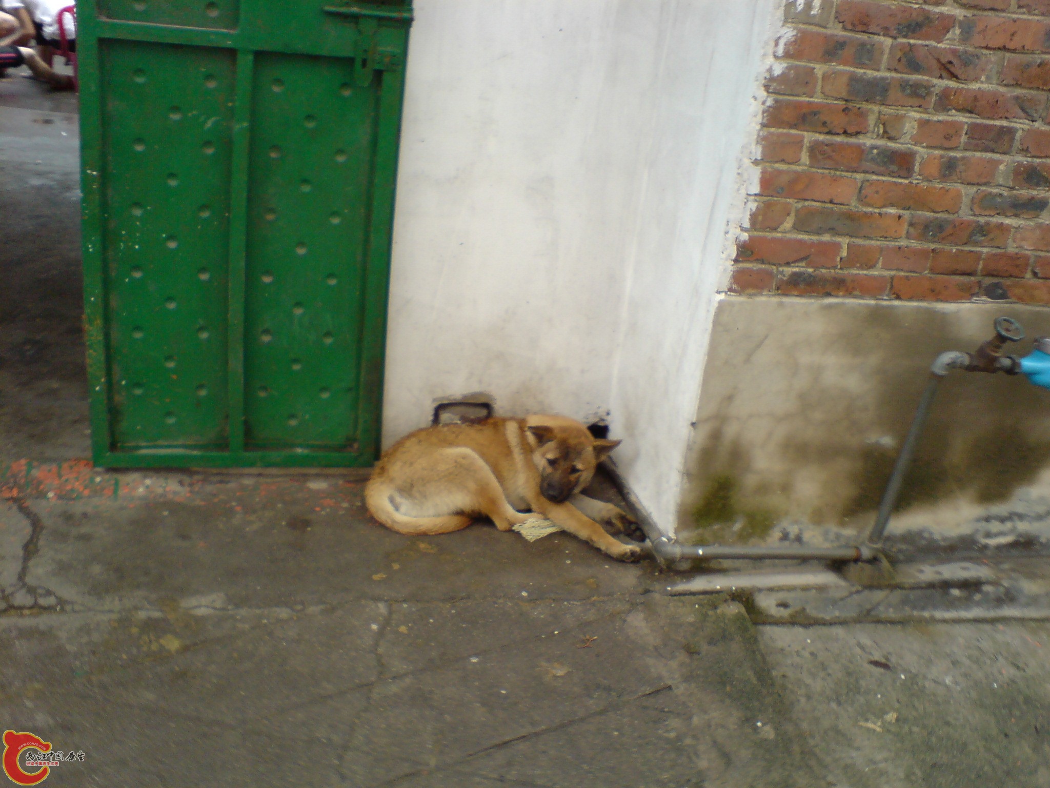 DSC00810.JPG
