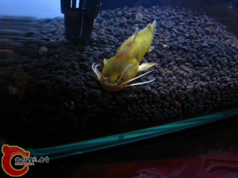 IMG_0008 (2).JPG