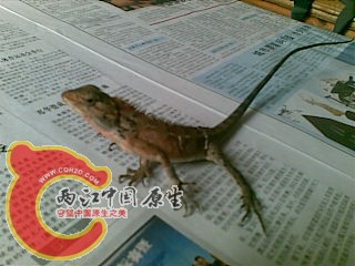 20100930(001).jpg